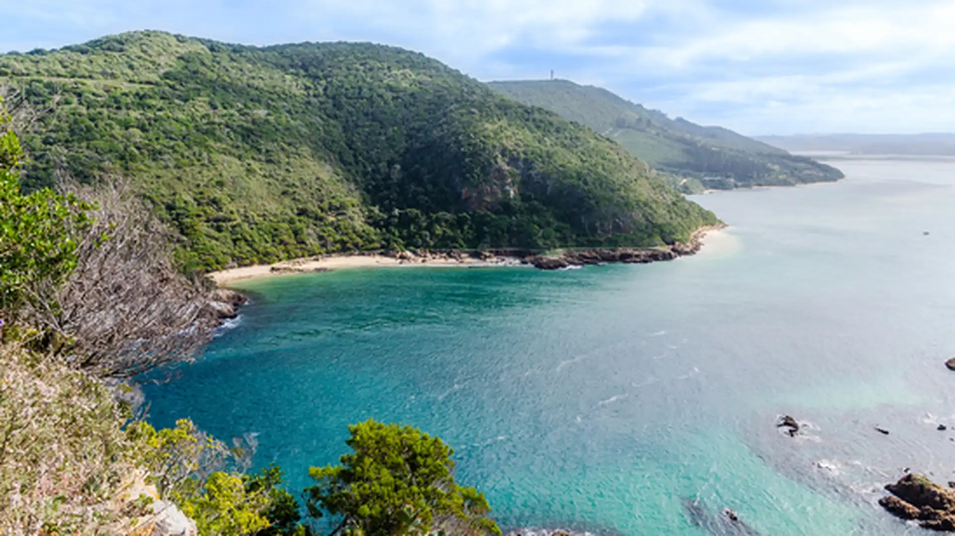 Day 7 - Tsitsikamma National Park - Knysna