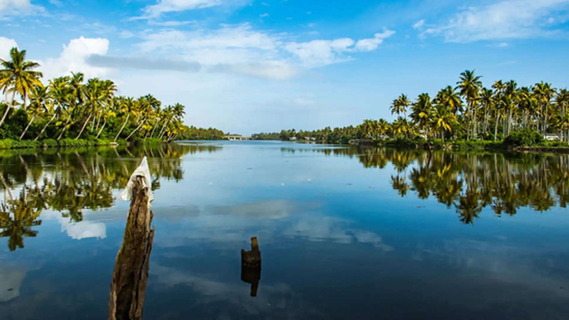 Day 10 - Kumarakom