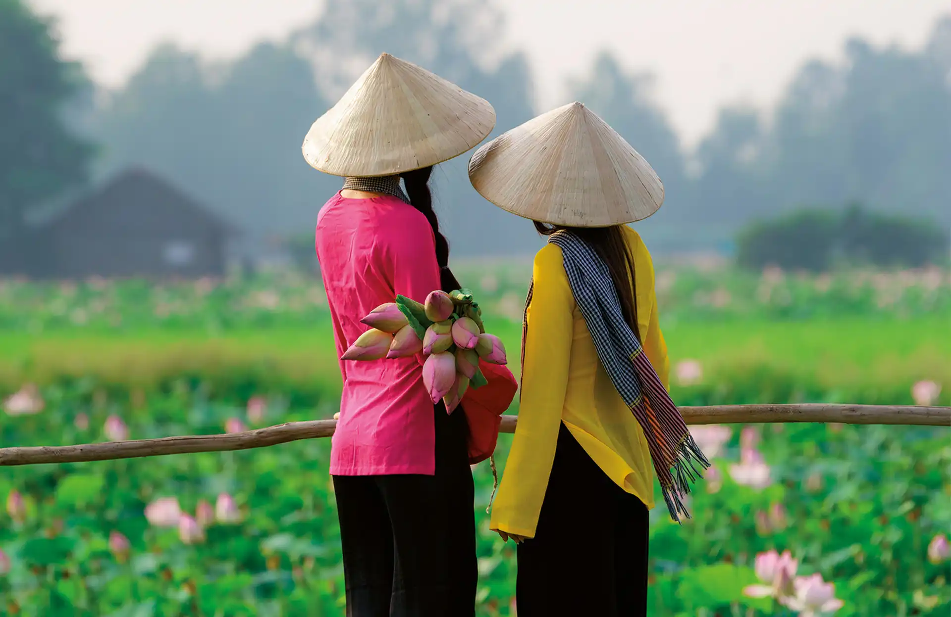 Day 10 - Ho Chi Minh City - Siem Reap