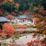 XCLU Holidays and Experiences Announces the Launch of Its Cherry Blossom Fixed Departure Tour of Japan