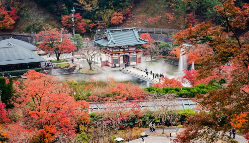 XCLU Holidays and Experiences Announces the Launch of Its Cherry Blossom Fixed Departure Tour of Japan