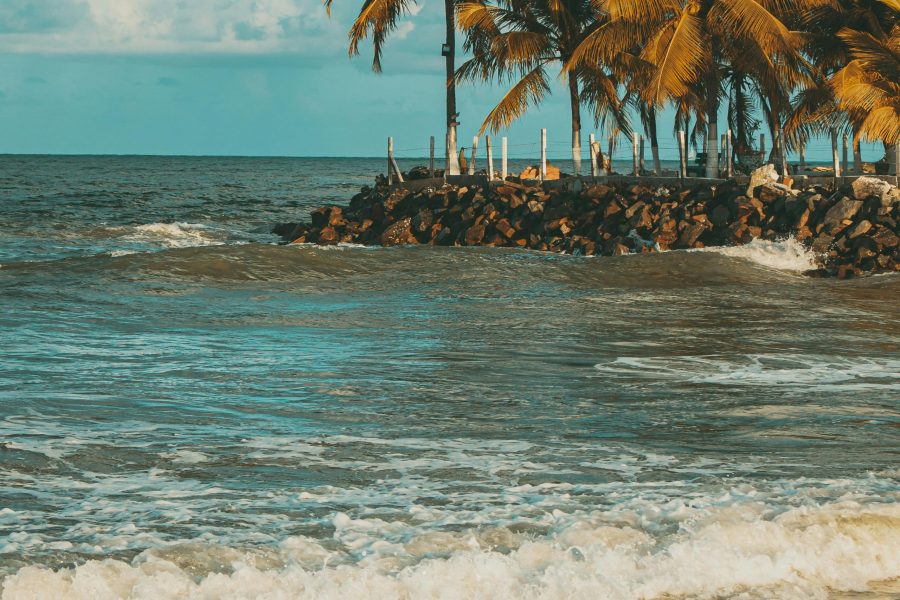 XCLU03 Grand Tour of Southern India