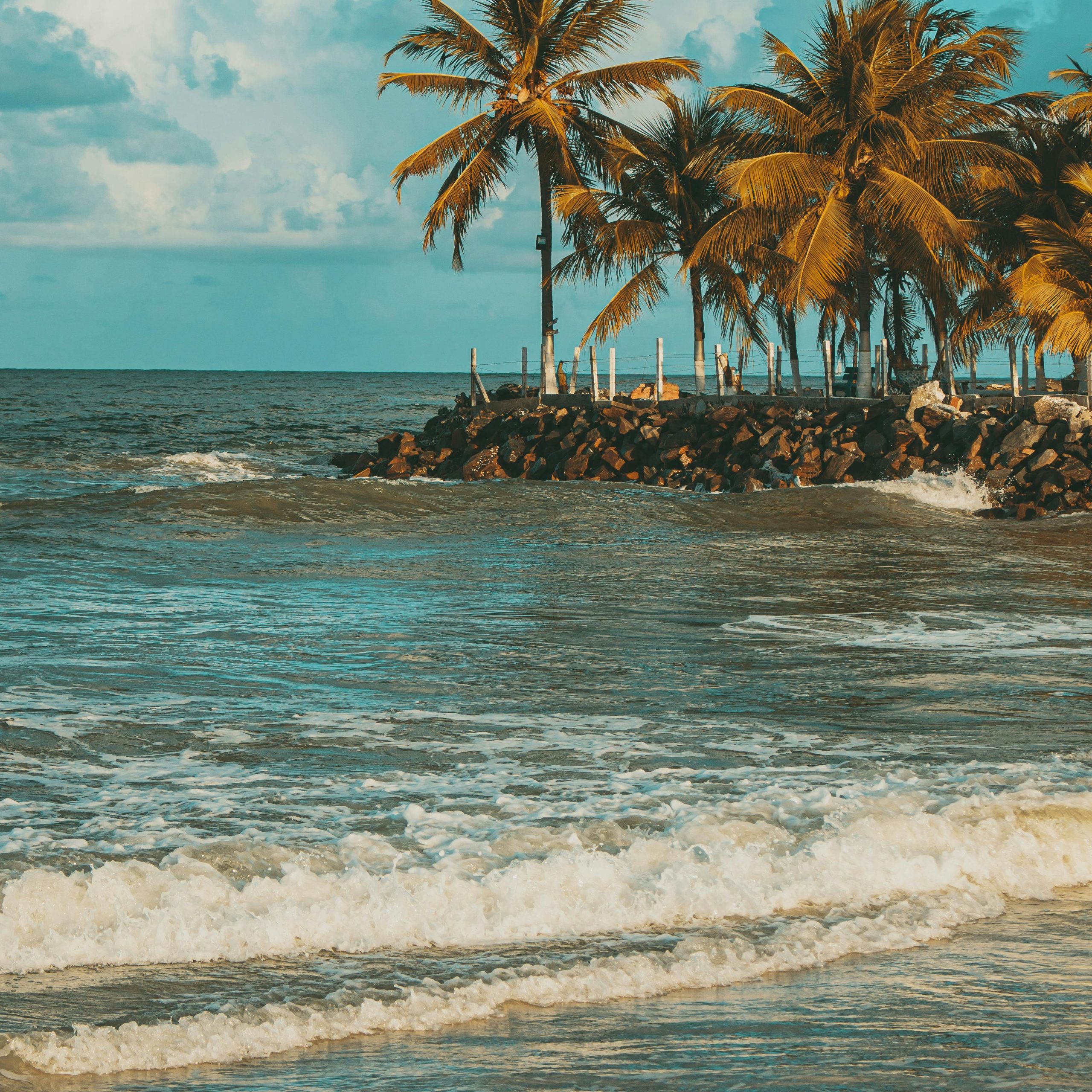 Day 8 - Alappuzha - Kollam